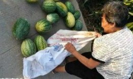 66吃瓜最新爆料入口,揭秘娱乐圈幕后真相