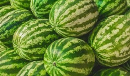 大娱乐吃瓜,大娱乐吃瓜，揭秘明星幕后故事